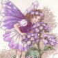 Heliotrope Fairy