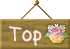 Top ɖ߂